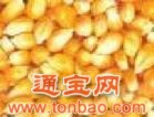 富阳饲料常年大量求购玉米