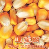 求购玉米麸皮次粉大麦
