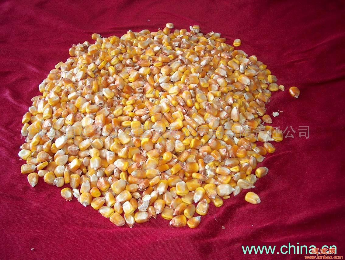 富阳需求玉米小麦高粱豆粕棉粕鱼粉等饲料原料