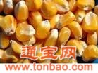 武汉友芝友奶牛饲料有限公司求购玉米小麦大麦高粱麸皮粕类