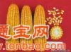 求购玉米皮，玉米，DDG/DDGS，玉米胚芽粕