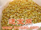 内蒙古恒旺公司现金高价大量求购甜玉米
