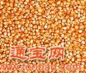 永盛牧业大量求购玉米小麦大豆麦麸豆粕鱼粉大米淀粉
