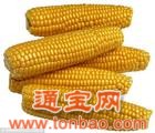 采购玉米麸皮小麦碎米大豆等饲料原料