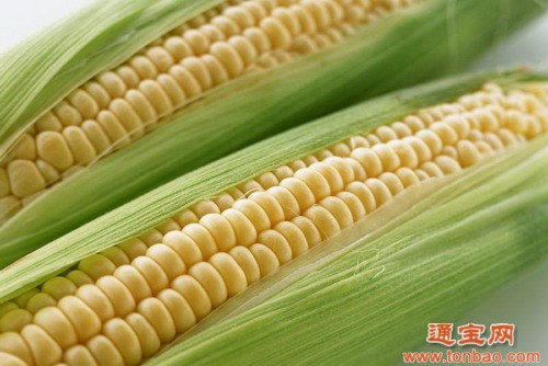 襄樊牧兴饲料厂大量采购玉米高粱大豆花生红小豆豌豆绿豆