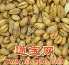 现款求购玉米麸皮碎米豆粕大豆小麦